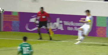 防的柏杨头, src