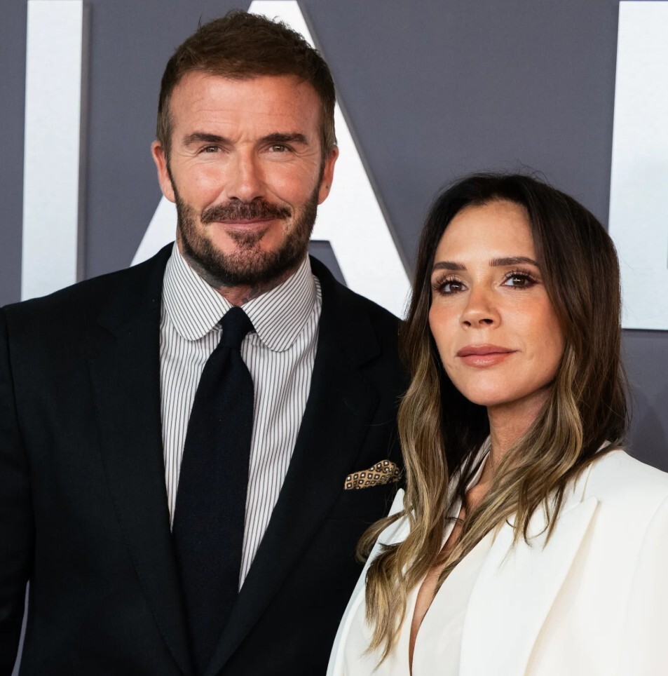 会很激动, 女佣的秘密 会很激动, 女佣的秘密