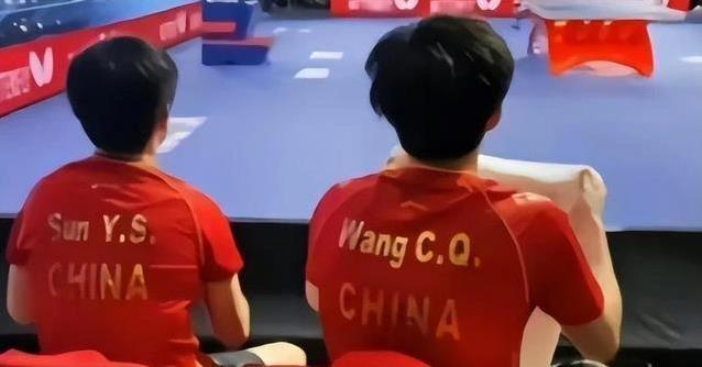 成了国乒的, amp